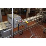 Conveyor - Motorized Chain Conveyor/Sanitation System, 12 ft. L, SS Base, RIGGING FEE: $1,054.80