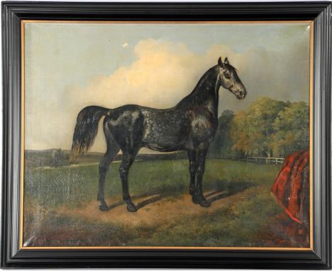 Anonymous, portrait of a horse, canvas ca. 1900, 80x100 cm