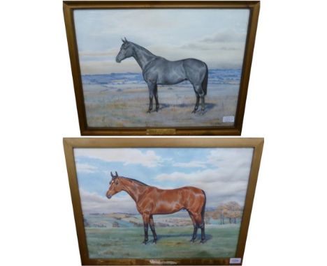 Dorothy Margaret (1900-1992) & Elizabeth Mary Alderson (1900- 1988) A portrait of the horse ''Grecian Night'' standing in a l