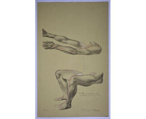 Klinger, Max, 1857 Leipzig - 1920 Großjena. ''Studie zum Homer'', Detailstudie zu einem Sitzenden Männerakt, Lichtdruck auf g