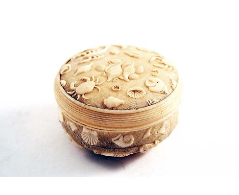 AN 18TH CENTURY TURNED IVORY CIRCULAR SNUFF BOX carved all over in low relief with shells and crustaceans, within a reeded bo