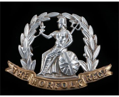Victorian/Edwardian O/R's cap badge to the Norfolk Regiment, two loops to reverse, K&K 599