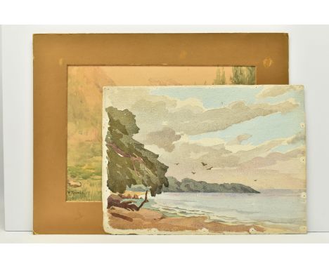 TWO EARLY 20TH CENTURY WATERCOLOUR LANDSCAPES, the first depict a field with trees, signed W. Trewby, approximate size 26cm x