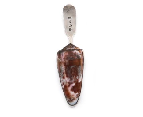 A Victorian provincial silver-mounted shell caddy spoon, by James Barber, York 1849, the shell with plain silver mounts, Fidd