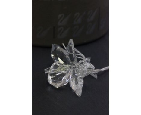 Boxed Swarovski Silver Crystal Ultra Light Yellow Orchid ref 7478000002 retired
