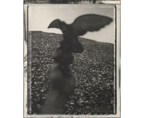 Mayer, Maix (geb. 1960 in Leipzig) Anthropologische Vexierbilder 1992 (Taube). Polaroid (Altersspuren, Randmängel, Kratzer, L