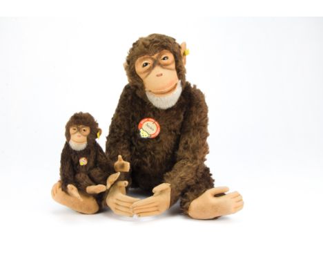 A large Steiff Jocko monkey 1950s, with brown mohair, brown and black glass eyes, felt face, ears, hands and feet, white moha