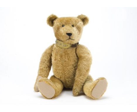 An early American teddy bear, possibly Ideal, with golden mohair, black boot button eyes, pronounced muzzle, black stitched n