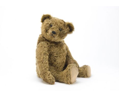 A fine Strunz teddy bear, circa 1910, with brown mohair, black boot button eyes, pronounced clipped muzzle, black stitched no
