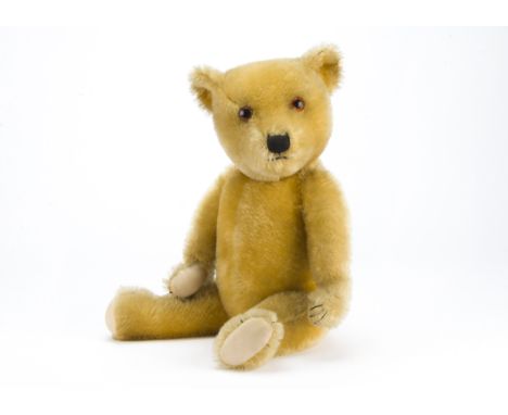 A Chiltern type teddy bear 1930s, with golden mohair, orange and black glass eyes, pronounced muzzle, black stitched nose, mo