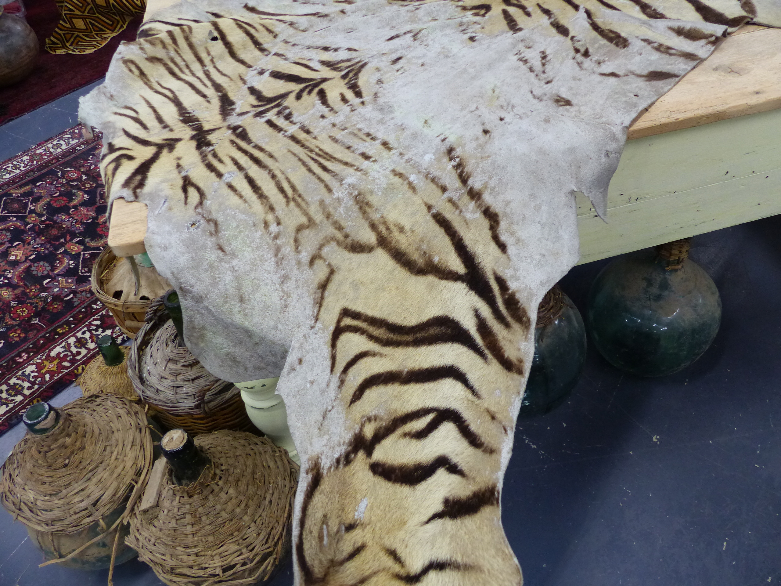 TAXIDERMY. A LARGE ANTIQUE TIGER SKIN RUG WITH FULL HEAD MOUNT.
