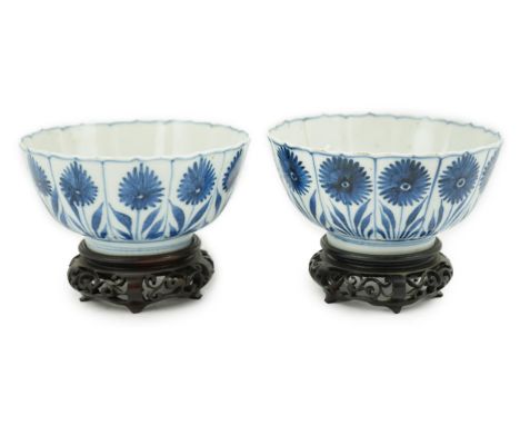 A pair of Chinese blue and white ‘Astor’ bowls, Kangxi period, each with a petal lobed rim the panelled body painted with ast