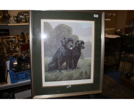 A limited edition Nigel Hemmings print of Black Labradors, no. 257/850