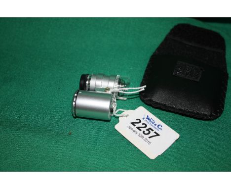 A Collector's Cased LED Illuminated 60X  Magnification Lens & UV Lamp.