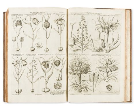 Botany.- Morison (Robert) Plantarum historiae universalis Oxoniensis Pars secunda seu Herbarum distributio nova, first editio