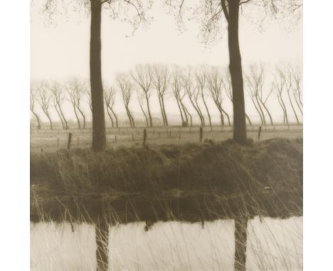 Lynn Geesaman (American, 1938-2020). Gelatin silver print photograph titled "Domme, Belgium" depicting a landscape of rows of