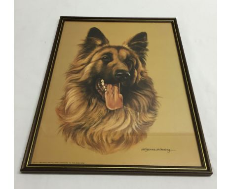 Framed & glazed print of a German shepherd by Pollyanna Pickering.