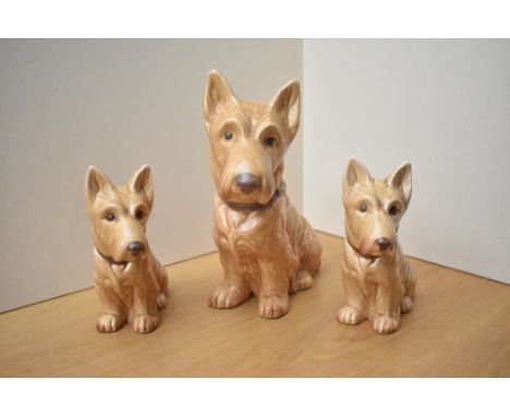 A group of three Sylvac pottery terriers, model numbers 1207 and 1209, largest measures 28cm.