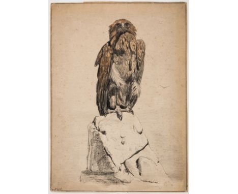 NO RESERVE Birds.- Griset (Ernest Henri) Tawny Eagle sitting on rocky outcrop, black chalk with watercolour, heightened with 