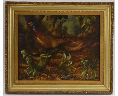 G. R. VaughnPheasant in a Woodland Landscapesigned, oil on board, 43cm x 53.5cm