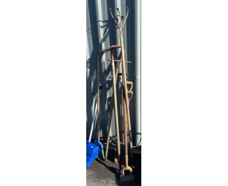 Selection of garden tools 