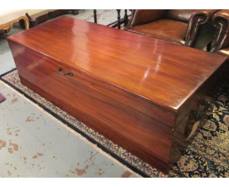 TRUNK, late 19th/early 20th century camphorwood of large proportions with rising half top and carrying handles, 68cm x 50cm H