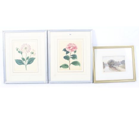 A pair of watercolours of flowers and a Victorian watercolour. One of a peony, the other a rose, 25cm x 18.5cm, unsigned, the