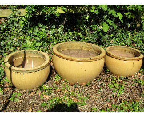 Four contemporary light brown glazed squat oviform planters of varying size, the largest example 30 cm high x 50 cm diameter 