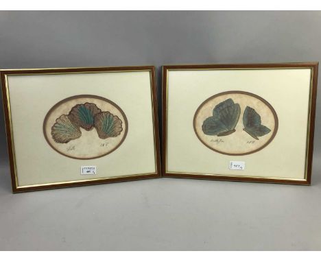 BUTTERFLIES AND SHELLS, TWO PRINTS BY ANNA HAWTHORNE, block prints on paper, initialled, titled and dated '87, overall size 3