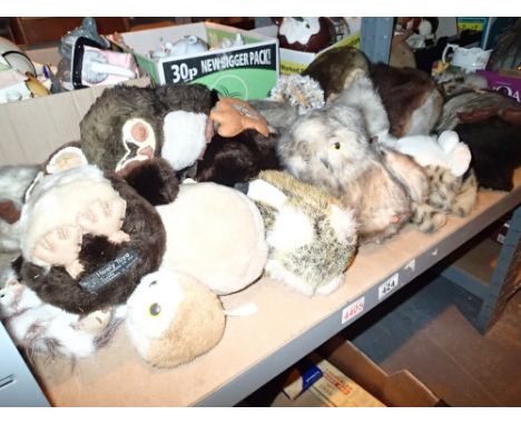 Shelf of soft toy owls 