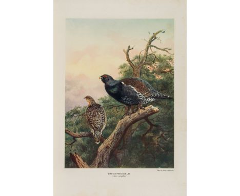 Millais (John Guille) - The Natural History of British Game Birds,  first edition  ,   number 238 of 550 copies, 18 colour pl