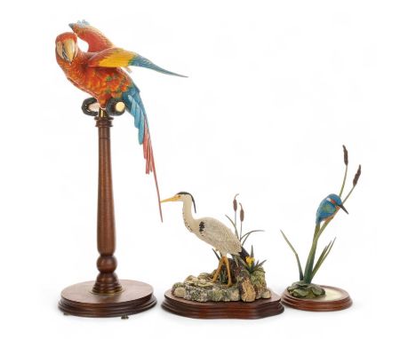 BORDER FINE ARTS, THREE BIRD FIGURES, including a Macaw perched on a brass perch with wood column and circular base, along wi