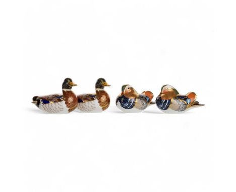 FOUR ROYAL CROWN DERBY PAPER WEIGHTS, comprising two Mandarin ducks and two Drakesthe Mandarin ducks each 13cm longQty: 4All 