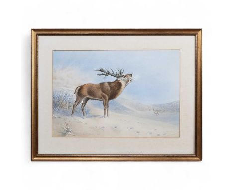 BRITISH SCHOOL, TWO WATERCOLOURS, C. DAVID JOHNSTON, 1976 each depicting stags in a snowy winter landscape, framed under glas