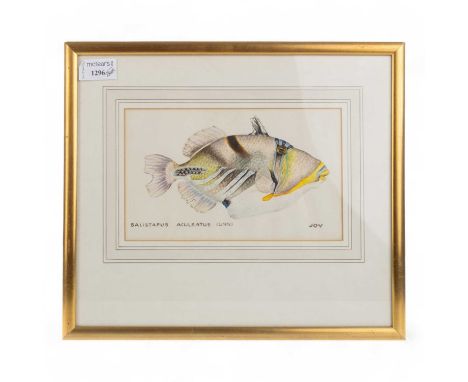 JOY ADAMSON, WATERCOLOUR, STUDY OF FISH, ALONG WITH RELATED BOOK the book titled Joy Adamson's Africathe watercolour 30.5cm x