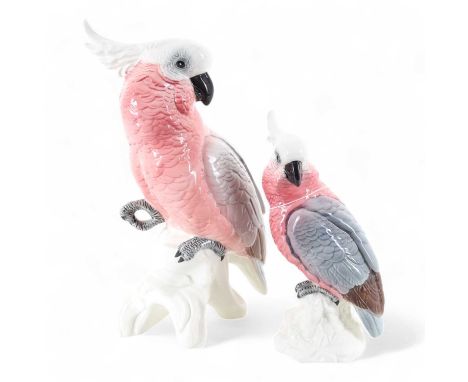 BESWICK, TWO GRADUATED COCKATOO FIGURES, numbers 1818 and 1811the larger 29cm high 