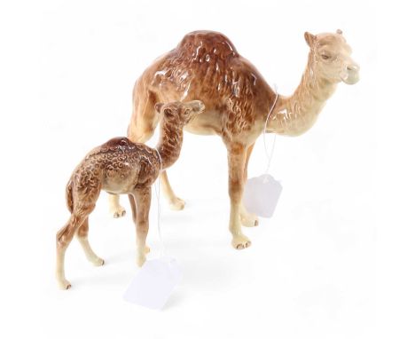 BESWICK, TWO CAMEL FIGURES, numbers 1043 and 1044the largest 18cm highQty: 2