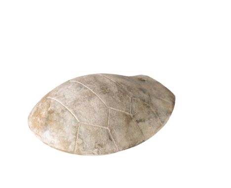 ARCHAIC STYLE JADE TORTOISE OR TURTLE SHELL, formed as a realistically carved carapace, 17cm long 