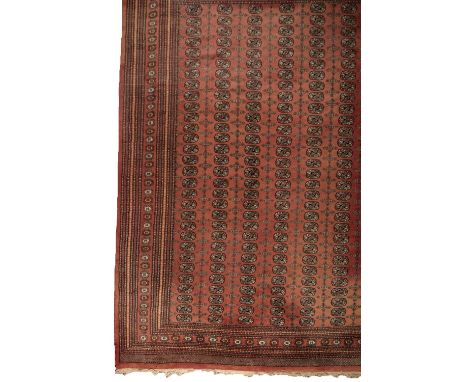 LARGE BOKHARA STYLE CARPET, Central Asian Turkmen influence, with alternating rows of elephants foot and stylised geomtric gu