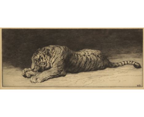 HERBERT DICKSEE (1862-1942) 'Tiger Gnawing on a Bone' signed in pencil to the margin, monogrammed in plate, etching on wove p