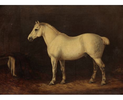 ENGLISH SCHOOL, 19TH/20TH CENTURY A portrait of a horse in stable, indistinctly signed lower left, oil on canvas, 33cm x 45cm