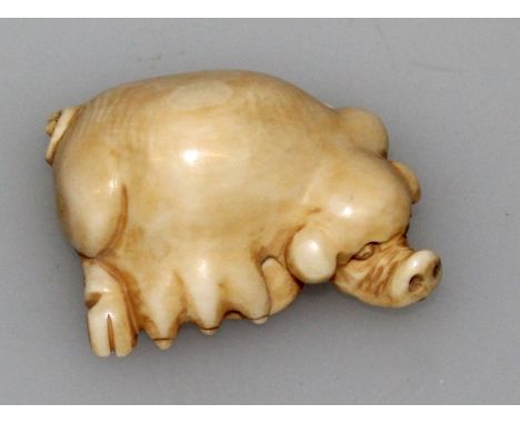 AN EARLY 20TH CENTURY SIGNED JAPANESE IVORY NETSUKE OF A SOW, the base with an engraved signature, 1.8in long.