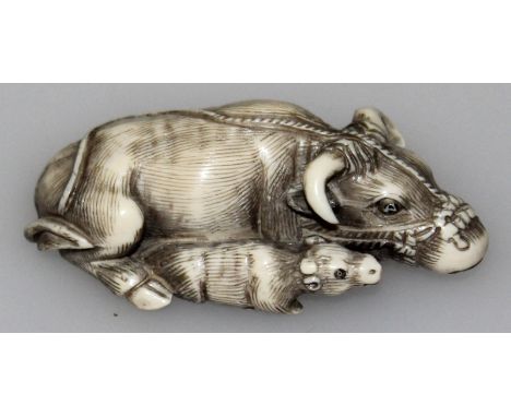 A SIGNED JAPANESE MEIJI PERIOD TOMOTADA SCHOOL IVORY NETSUKE OF A RECUMBENT OXEN & ITS YOUNG, the fur of each naturalisticall