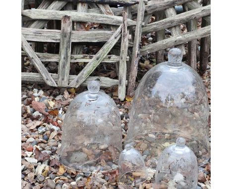 A collection of wood fence hurdles or panels,the largest 60cm hightogether with four glass garden cloches,the largest 33cm hi