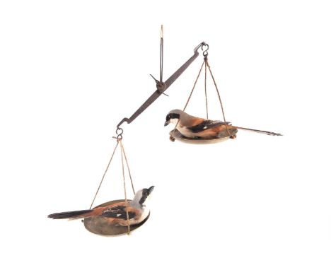 Nancy Fouts (American, 1945-2019), an abstract taxidermy composition comprised of two birds (suggested jays) mounted onto a p