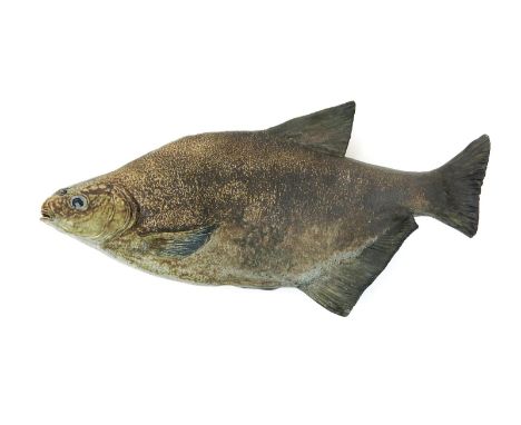 A rare Martin Brothers stoneware model of a fish probably by Edwin Martin, modelled with raised tail, incised scale decoratio