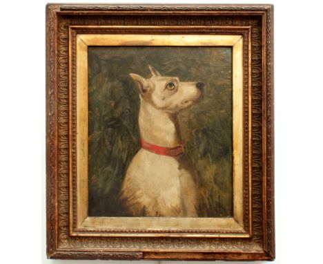 English School (British, late 19th century) Portrait of an English White Terrier with a red collar oil on board 8¼ x 7 in (21
