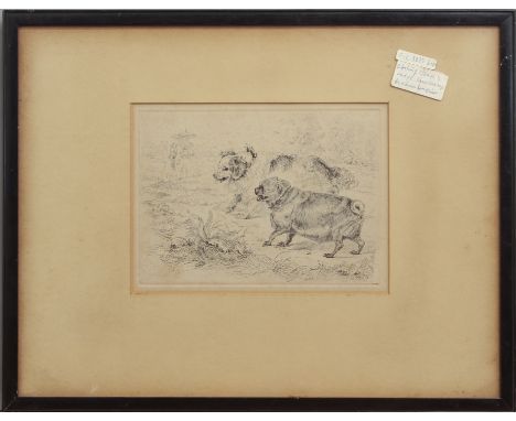 After Sir Edwin Landseer The Rivals, spaniel and pug black and white etching, etched signature and date 1893 plate size 6½ x 