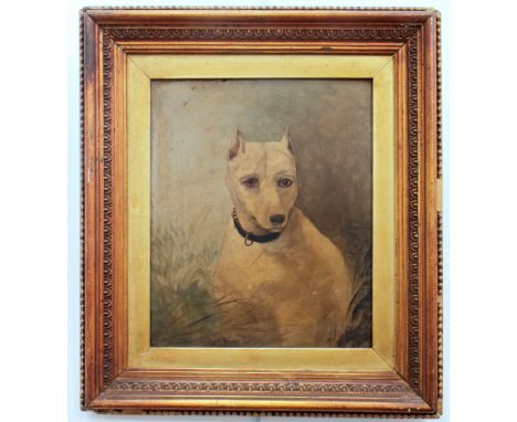 R. E. G. (British, late 19th century) Portrait of an English White Terrier oil on board, signed with initials lower right 9 x