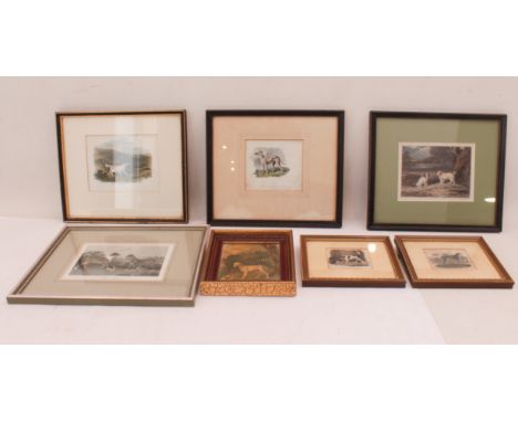 Seven 19th and 20th century framed prints of sporting dogs: 'Deer Hound' after Andrew Duncan;  'Deer Hound' after Abraham Coo